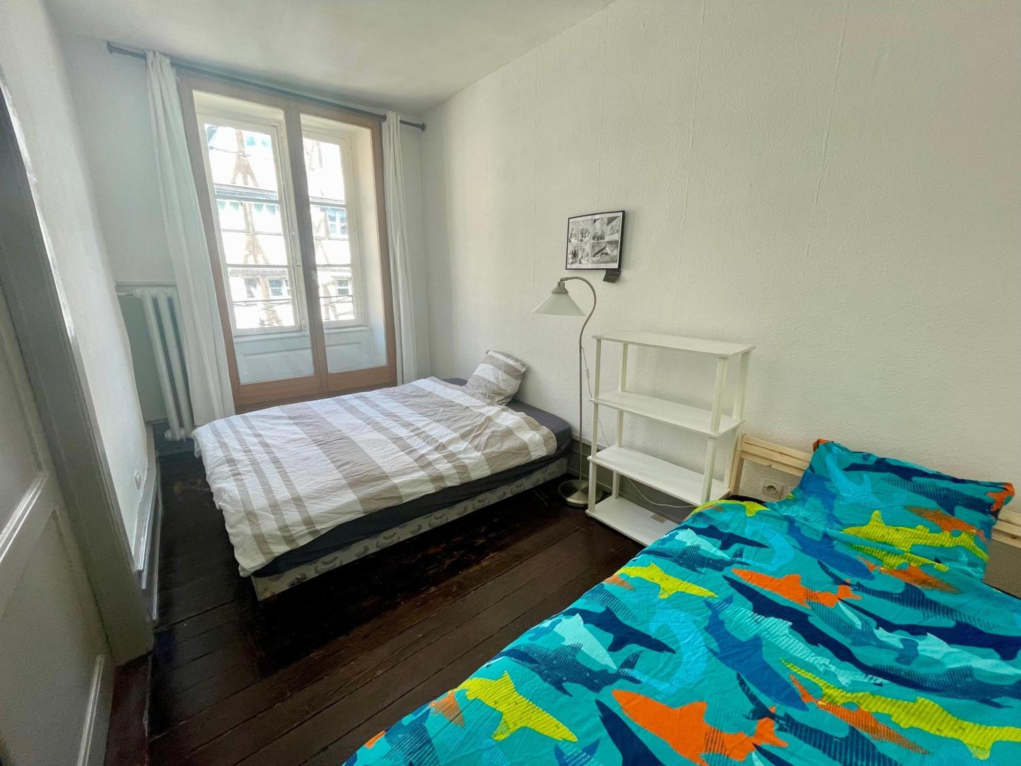Cathedrale Spacieux Appartement Strasbourg Exterior photo